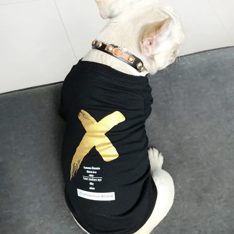 Comfortable Spring Hoodie For Pet & Owner